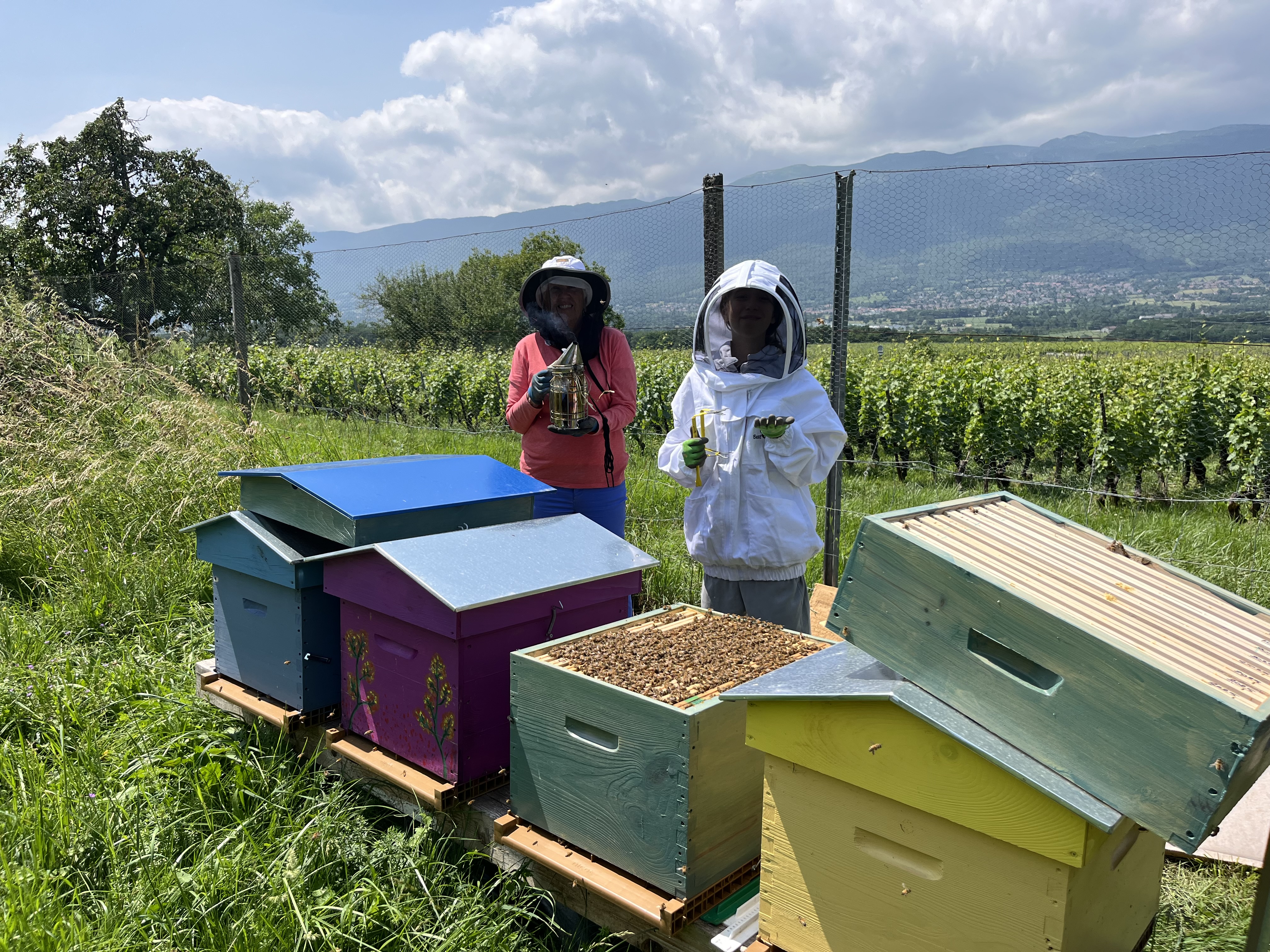 Ruches du Rucher de Choully à Satigny dans le canton de Genève, apiculture locale et biodiversité Ruches du Rucher de Choully à Satigny dans le canton de Genève, apiculture locale et biodiversité